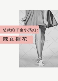 总裁的千金小荡妇：辣女摧花 (甜宠，1V1）