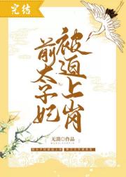 前太子妃被迫上岗